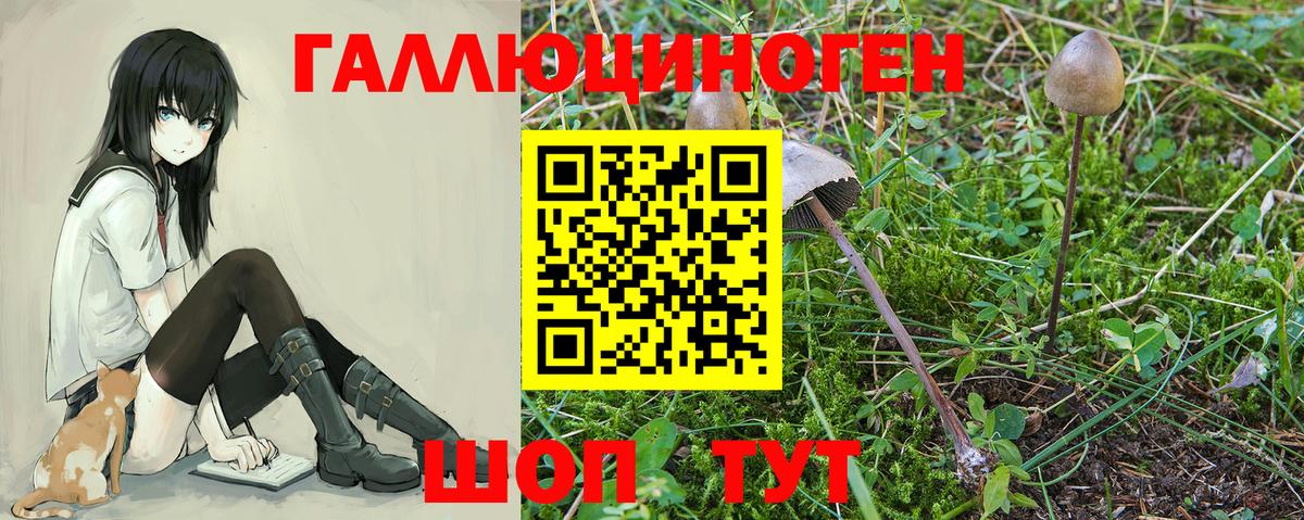 Великий Новгород  купить закладку  Псилоцибиновые грибы мухоморы  Вход с VPN  Псилоцибиновые грибы ЛСД 