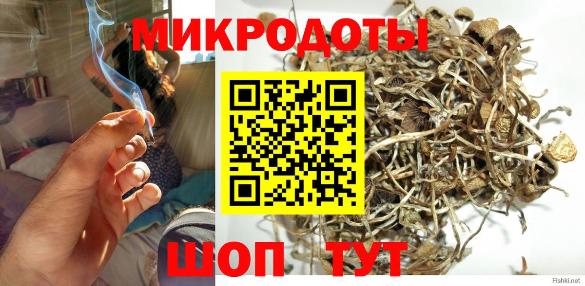 Галлюциногенные грибы Psilocybe Великий Новгород